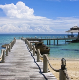 tranh dán tường