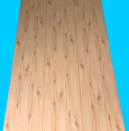 Tấm ốp nhựa vân gỗ