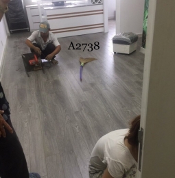 Sàn Gỗ Acacia 8 li - 2738
