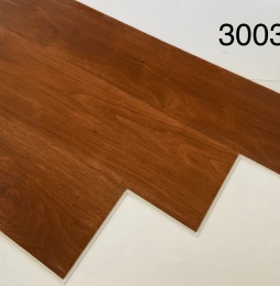 Sàn nhựa hèm khóa Apolo 3003-9