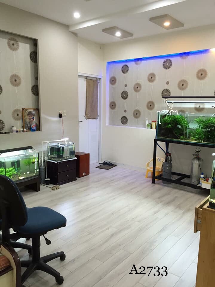 Ghế lãnh đạo Mắt Bảo