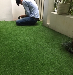 Mẫu Cỏ Nhân Tạo
